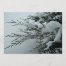 Search for snow wedding invitations Evergreen