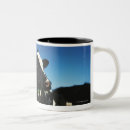 Search for grazing cows mugs Agriculture