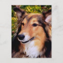 Search for rescued postcards Rescue dog