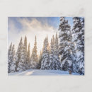 Search for alpine chalet postcards Usa