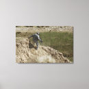 Search for climbing canvas prints Field