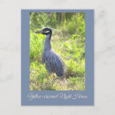 Search for birder vertical postcards Birds