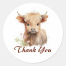 Search for baby cow stickers Calf