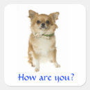 Search for long haired chihuahua stickers Cute