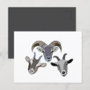 Search for pet goat postcards Animal