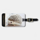 Search for hedgehog gifts Sweet