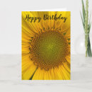 Search for field photo cards Yellow
