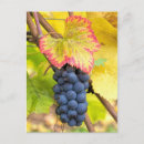 Search for seasons change postcards Red