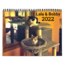 Search for bengal cat calendars Cats