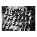 Search for jazz dancer posters Dancers