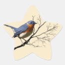 Search for feather star stickers Nature