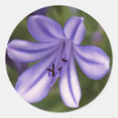 Search for tropical plant stickers Purple