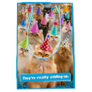 Search for cat gift bags Birthday