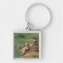 Search for tanzania key rings Lion