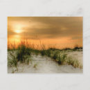 Search for dune photography Coastal