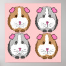 Search for cute guinea pig posters Cavies