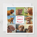 Search for instagram party invitations Collage