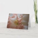 Search for daffodill cards Pink