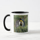 Search for king penguin mugs Wildlife