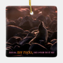 Search for sea lion christmas tree decorations Wildlife