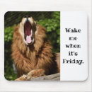 Search for yawning mouse mats Animals