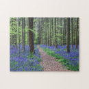 Search for belgium puzzles Bluebell flower