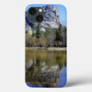 Search for mirrored cases Tree