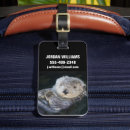 Search for bay accessories Pacific ocean