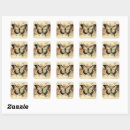 Search for butterfly collage stickers Butterflies