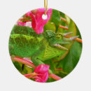 Search for chameleon christmas tree decorations Three horned chameleon