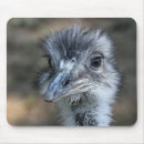 Search for eyes closed mouse mats Photography