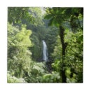 Search for tropical rainforest tiles Nature