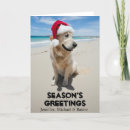 Search for beach photo seasonal cards Dog