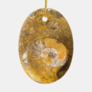 Search for fossil gifts Rock