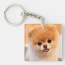 Search for pomeranian dog key rings Cute