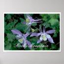 Search for columbine posters Colorado
