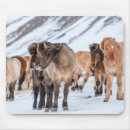 Search for ranching mouse mats Chuck haney