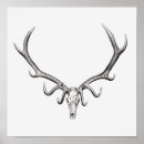 Search for animal skeletons posters Anatomy