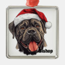 Search for cane christmas tree decorations Santa