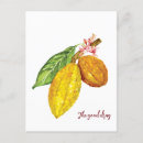 Search for cacao postcards Fruit
