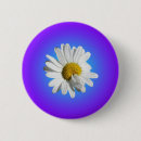 Search for purple daisy badges Daisies