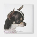 Search for side view magnets Dog