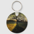 Search for fireflies key rings Nature