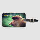 Search for monkey tags Primate