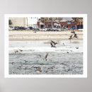 Search for bird posters Pelican