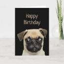 Search for pug dog birthday cards Pugs