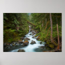 Search for rain forest art River