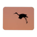 Search for sandhill magnets Wildlife