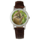 Search for sloth watches Nature