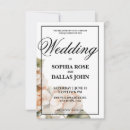 Search for orange and white wedding invitations Calligraphy